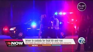 Mother killed in fatal hit and run in Sterling Heights