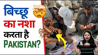 बिच्छू का नशा करता है Pakistan? 🦂 Scorpion Smoking! 🤯 | Factovation | Purnima Kaul #shorts