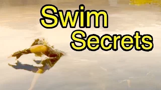 Final Fantasy XV: Swimming Secrets (FFXV)