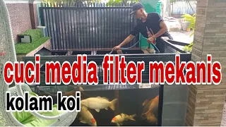 CUCI MEDIA FILTER MEKANIS KOLAM KOI