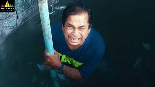 Brahmanandam Comedy Scenes Back to Back |  Legend Latest Telugu Movie Scenes | Sri Balaji Video