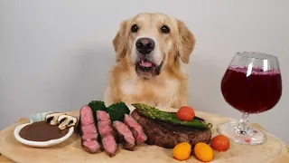 Dog Steak & Wine MUKBANG ASMR /Golden Retriever Food Review