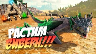 🦎 Ark: Scorched Earth - СТРИМ - РАСТИМ ВИВЕРН!