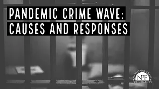 Pandemic Crime Wave: Causes and Responses