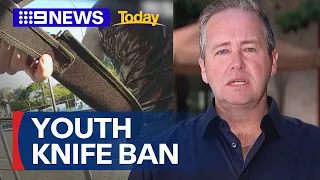 Anti-crime advocate on youth knife ban in Queensland | 9 News Australia