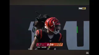 Bengals rise