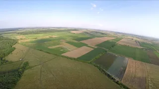 Зіболки з висоти пташиного польоту.