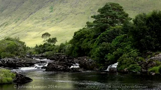 Nature Sounds for Sleeping - Forest Waterfall & Birds Singing - Relaxing Sound of Water & Birdsong