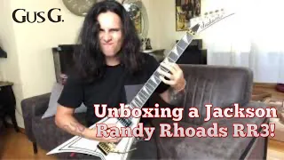 I finally got a Randy Rhoads guitar!