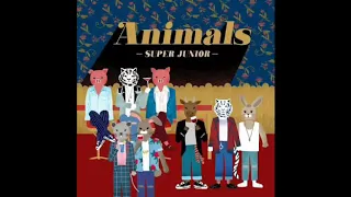 Super Junior " Animals"