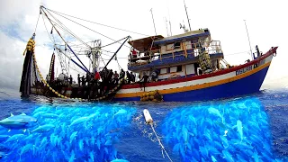 Ep33 17 tons na assorted tuna pinalubog yong lambat #netfishing #fishing #fishingvideo