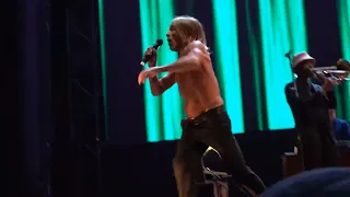 Iggy Pop | Frenzy | live Cruel World Festival, May 20, 2023