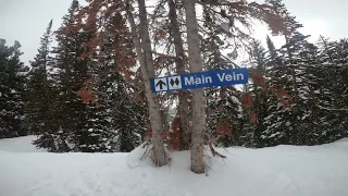 STEEP DOUBLE BLACK SKIING- (Main Vein - Headwall Forest, Solitude Mountain)