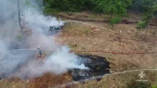 Рятувальники Бучанського району спільно з лісниками провели тренування щодо гасіння лісових пожеж