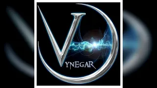 Vynegar - Vynegar (Full EP) [Nu Metal/Industrial Metal]