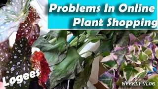 What Happened With My Logees Plant Haul || Online Nursery Problems