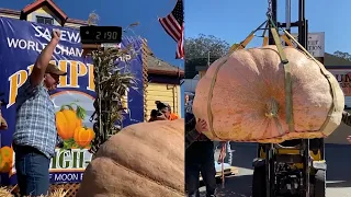 Absolute Unit of a Pumpkin Weighs More Than a Ton