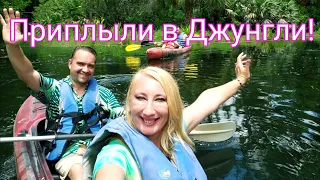 ДИКАЯ ФАУНА ФЛОРИДЫ❤ПО ОЗЕРУ НА КАЙАКАХ❤ПОСРЕДИ ЖИВОТНОГО МИРА (269)