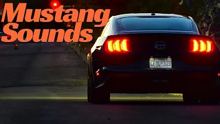 2019 Mustang Bullitt vs 2016 Shelby GT350 Exhaust Sound