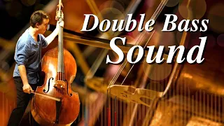 Double Bass Sound by Sam Suggs