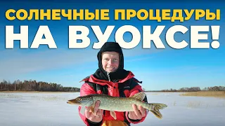 Зимняя рыбалка на Вуоксе. Рыбалка в Ленинградской области