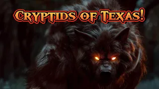 Top 5 Cryptids of Texas