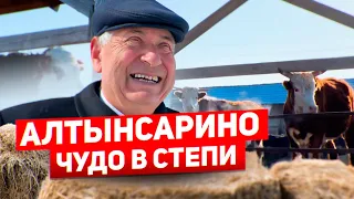 Село Алтынсарино. У них получилось!