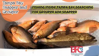 Great Day Inside Tampa Bay!  Awesome Snapper and Grouper Bite.......