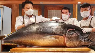 100kg급 참다랑어! 직접 볼 수 있는 대형 참치 해체쇼! / Giant bluefin tuna cutting show - Korean street food