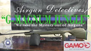 Magnum GR or G-Jungle Breakbarrel "Full Review" by Airgun Detectives