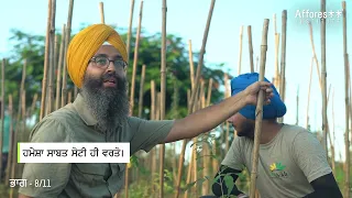 Ch:8 | Plantation and Execution | Forest Creation Tutorials | Punjabi