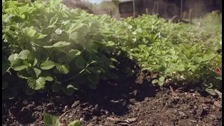 Le cycle de l'eau #6 : l'insoutenable légèreté de l'eau