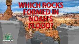 Dr. Marcus Ross discusses the rocks deposited after Noah's Flood