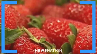 Boy dies after eating strawberries at Kentucky school fundraiser | Morning in America