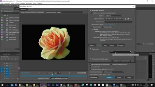 Premiere Pro  Рендеринг файла с альфа каналом