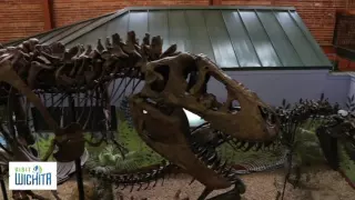 Visit Wichita | Museum of World Treasure | A Museum With T-Rex Fossils, Mummies & More