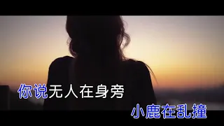 【KTV】海伦 《桥边姑娘》 伴奏 /高清