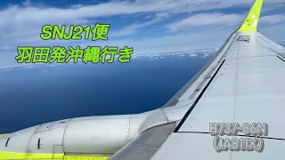 【機窓】SolaseedAir 21便 羽田発沖縄(那覇)行き B737-86N（JA811X） 座席: 12F