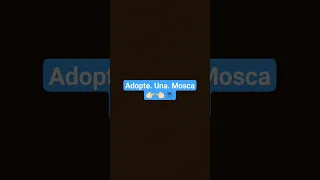 adopte una. mosca