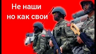 Турецкая армия ожидает - Алиев бунтует! Войну сдерживают!