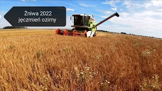 ✔ Jęczmień ozimy 🌾  ✔ Rozpoczęcie żniw 2022!