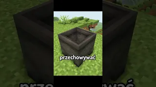 4 CIEKAWOSTKI o KOTŁACH w Minecraft #shorts