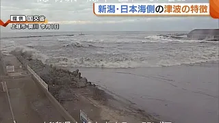 地震発生から約20分後…川を遡上する津波　新潟・日本海側の“津波” の特徴「短時間で集中的に…」 (24/01/04 ) #能登半島地震 #earthquake #地震 #noto #Japan