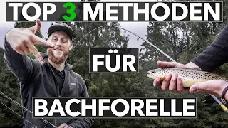 3 Methoden, um ERFOLGREICH auf BACHFORELLEN zu angeln! 🎣 Einsteiger-Tutorial 👌🏻