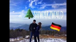 ШВАРЦВАЛЬД/SHWARZWALD - Черный лес, самый злой кот Германии