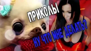 #ПРИКОЛЫ за Июль 2018 | BEST COUB 2018 ▶ 61