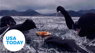 Brave swimmers put on wetsuits for an icy picnic in Siberia | USA TODAY