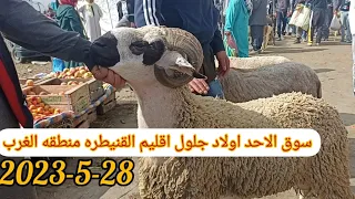 سوق الاحد اولاد جلول 2023-5-28