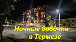 Ночной Термез.