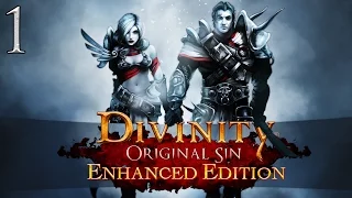 Let's Play ► Divinity: Original Sin Enhanced Edition Co-Op - Part 1 - Cyseal [Blind]